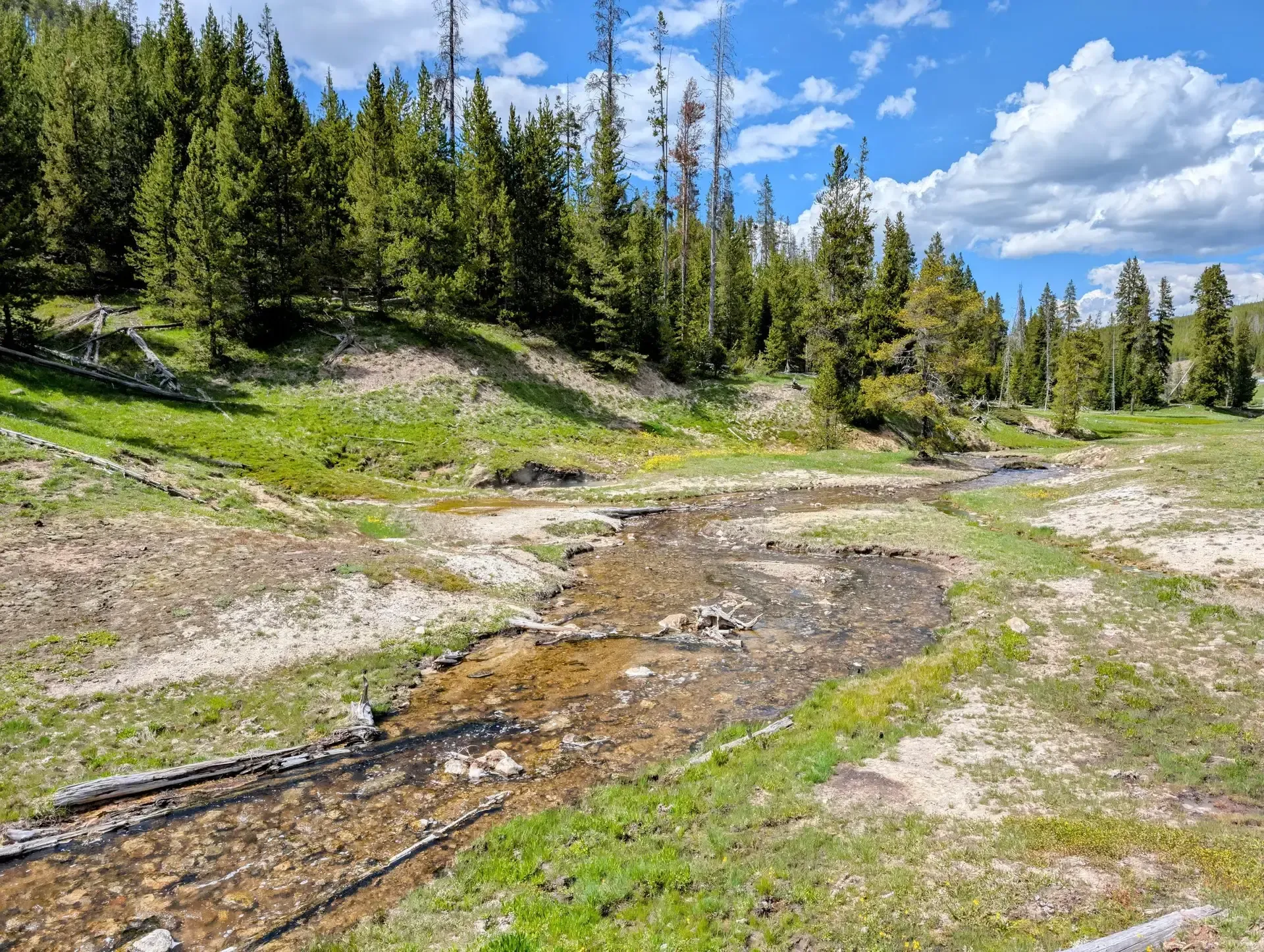 Peaceful creek snaking its way through Yellowstone National Park