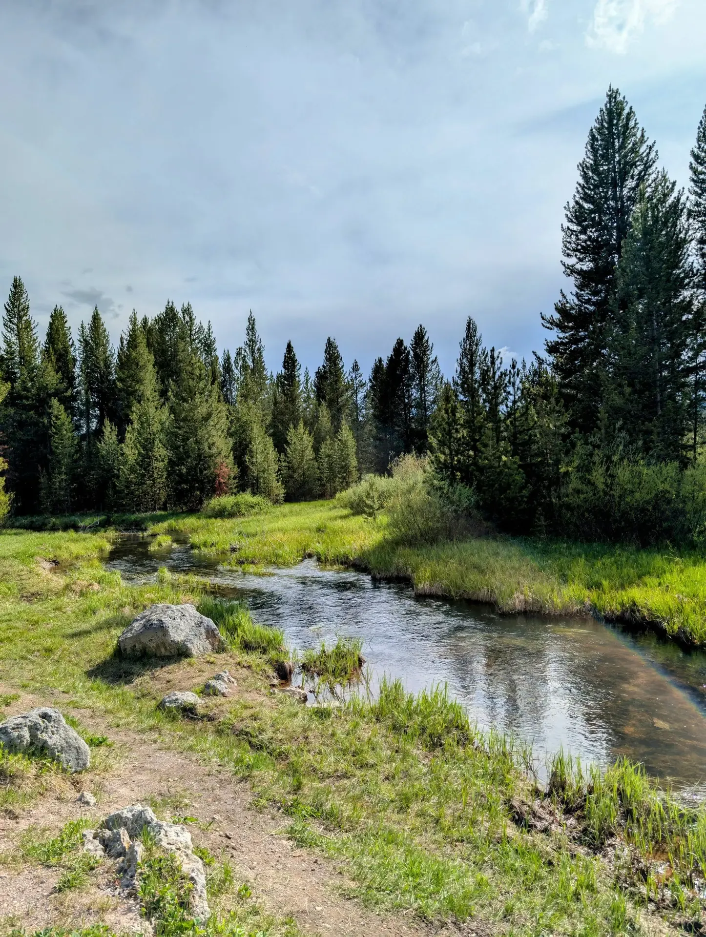 Tranquil stream flowing through the heart of Yellowstone National Park