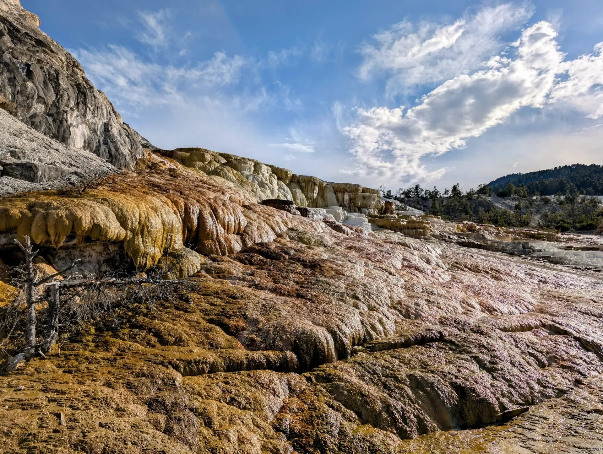 Layers of sulfur deposits built up over time in Yellowstone National Park