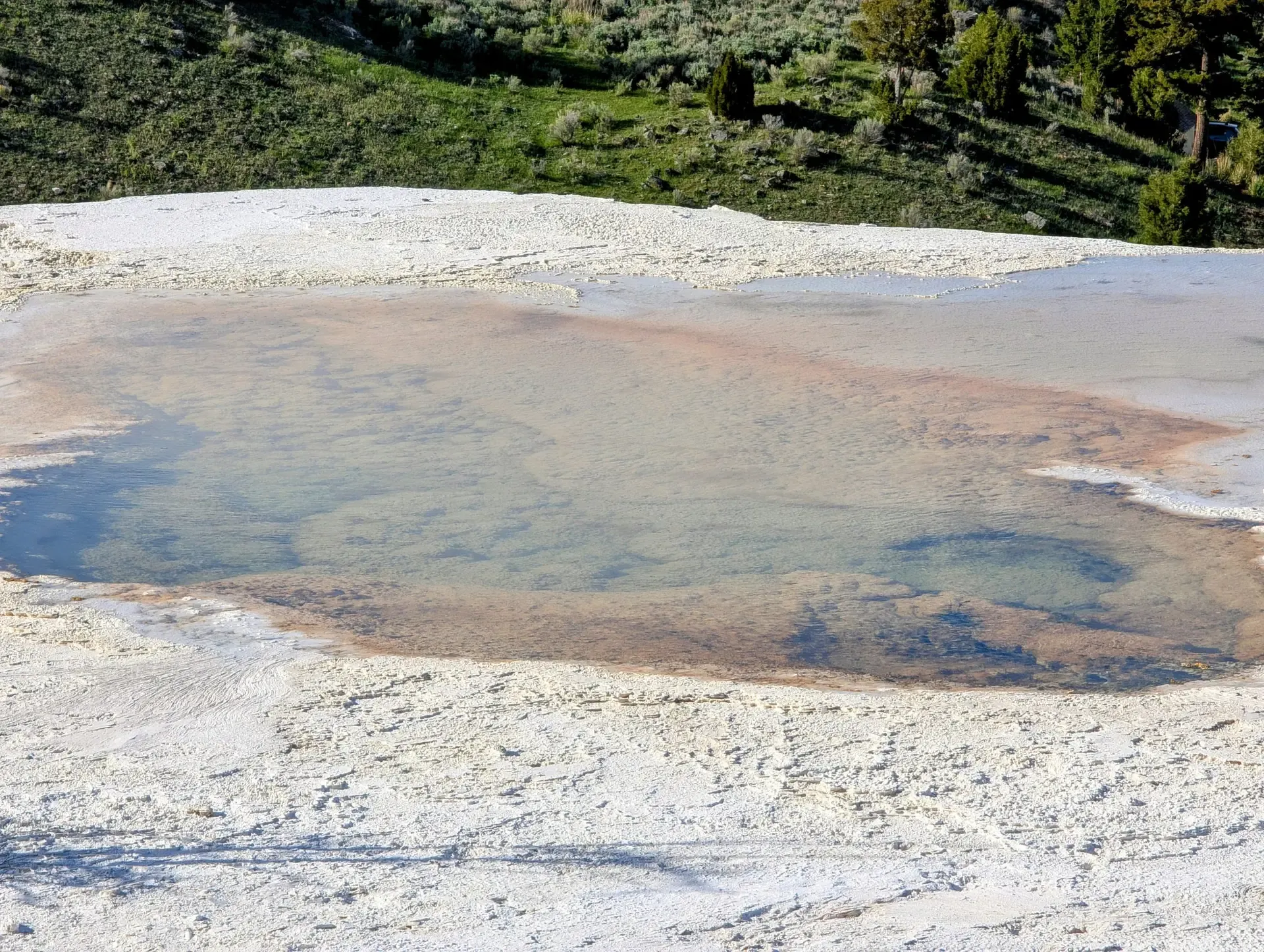 Gorgeous, multi-colored springs in Yellowstone National Park