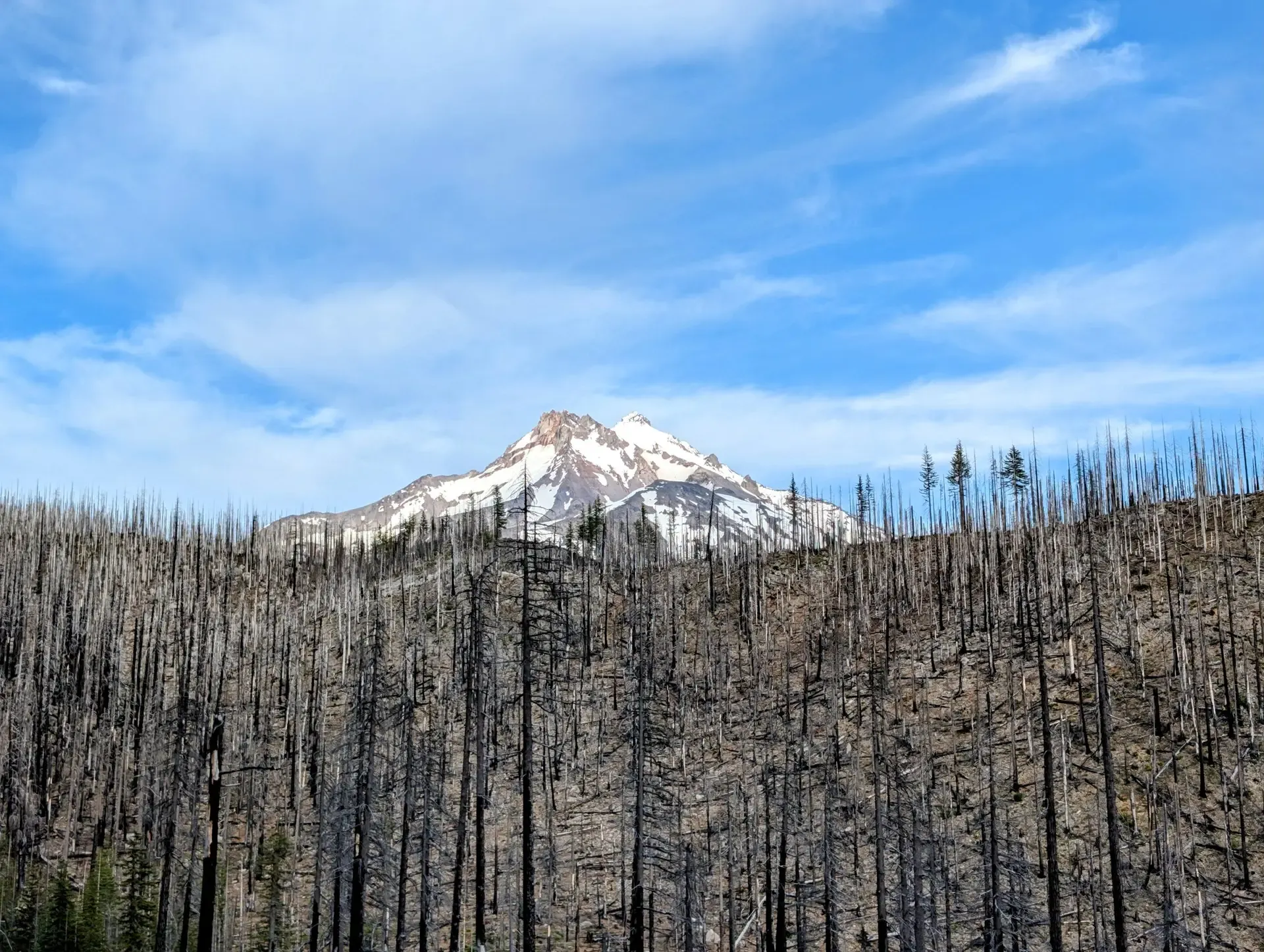 The peak of Mount Jefferson rising above the burn zone that surrounds it
