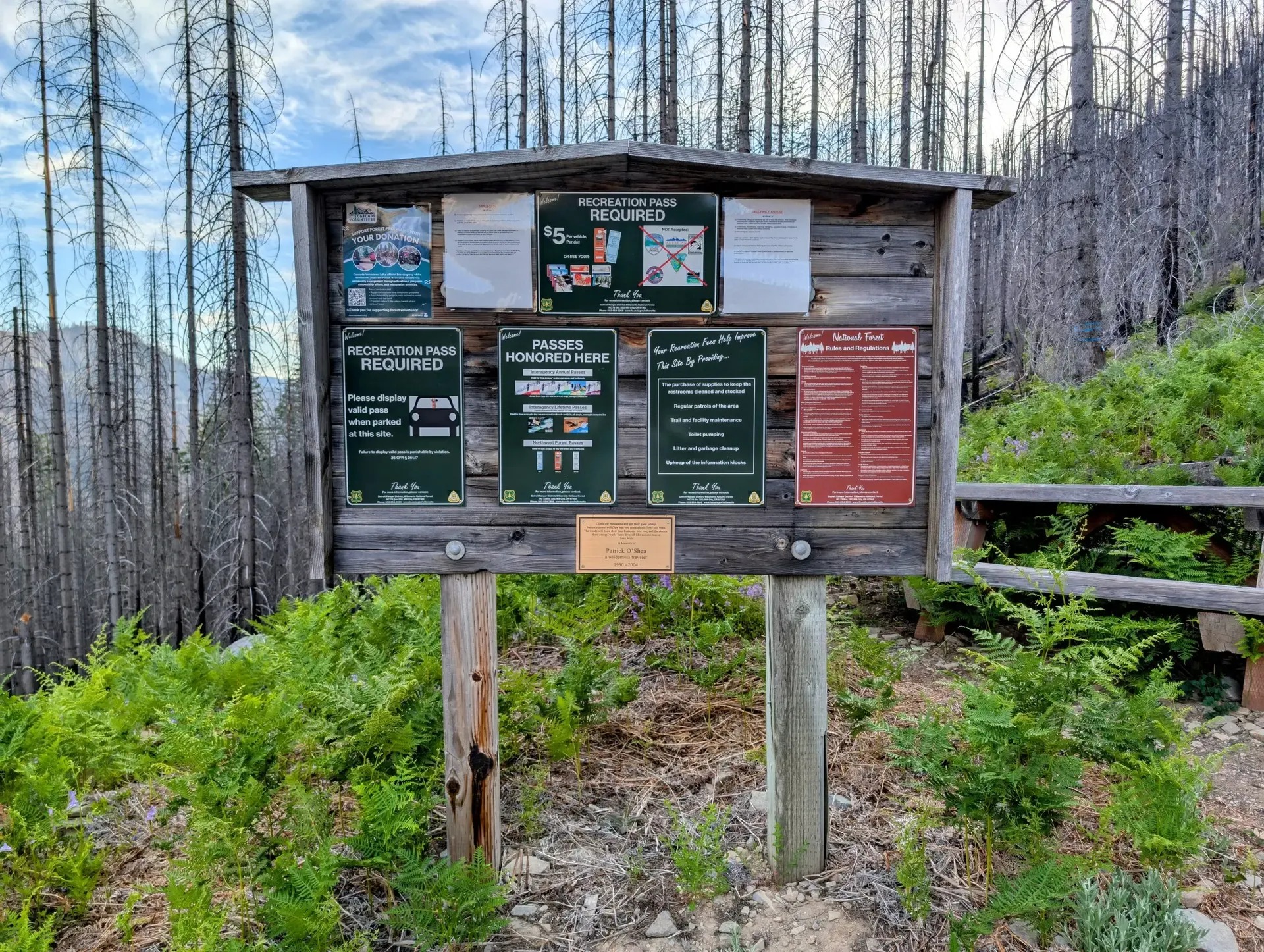 A sign posted providing info about the area for the Mount Jefferson wilderness