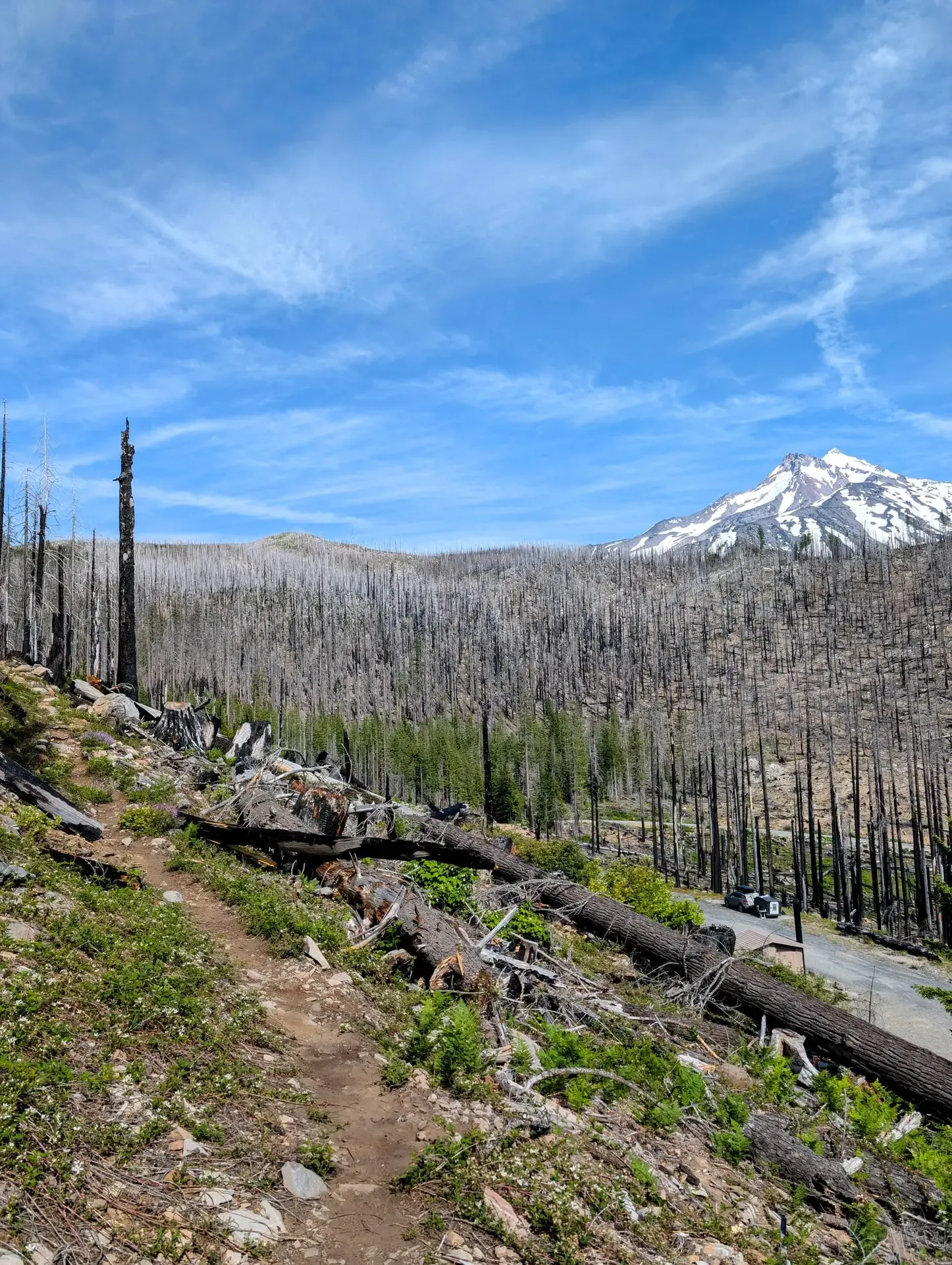 Mount Jefferson peaking into view in the distance