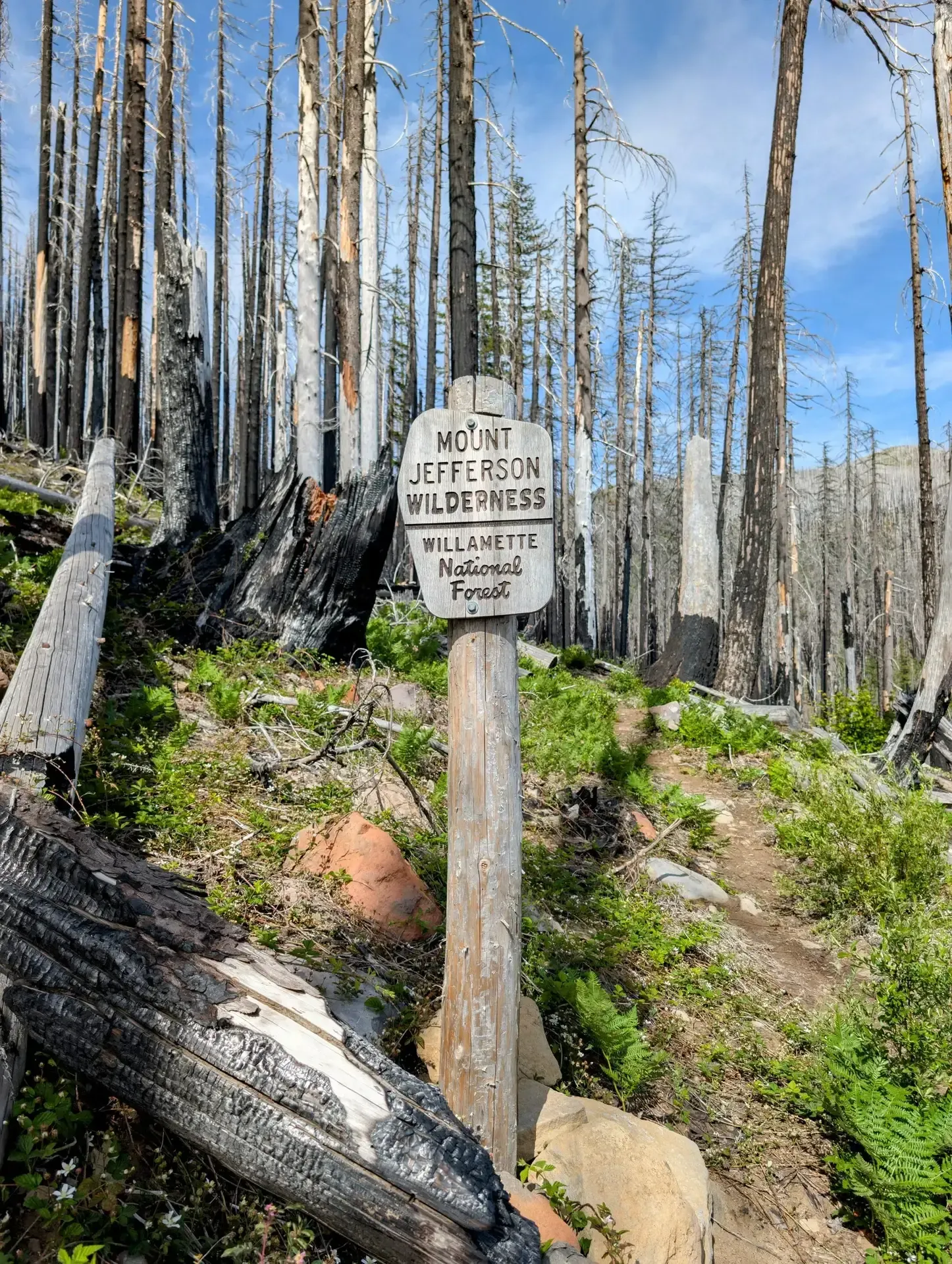 A sign informing hikers they are in the Mount Jefferson Wilderness