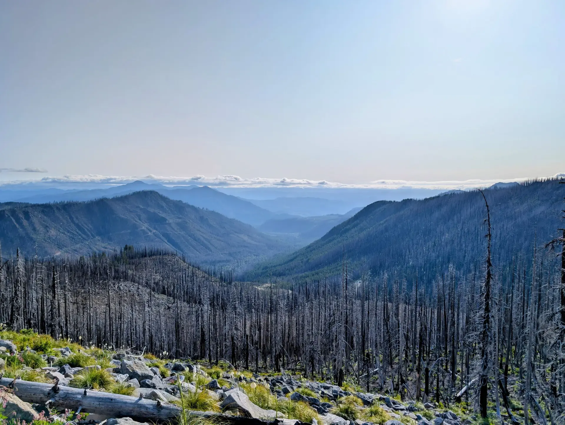 Beautiful view of the Cascades and the Mount Jefferson wilderness