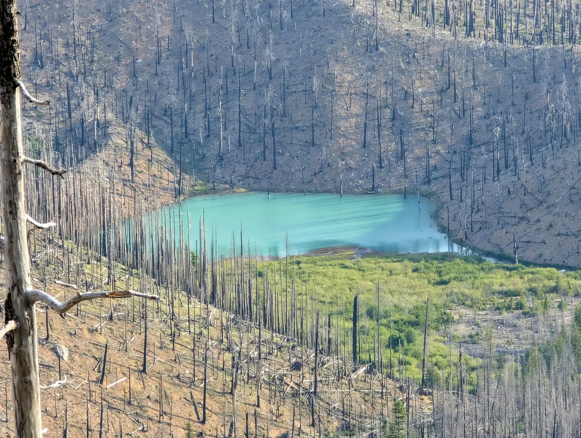 Beautiful lake nestled in the Mount Jefferson wilderness