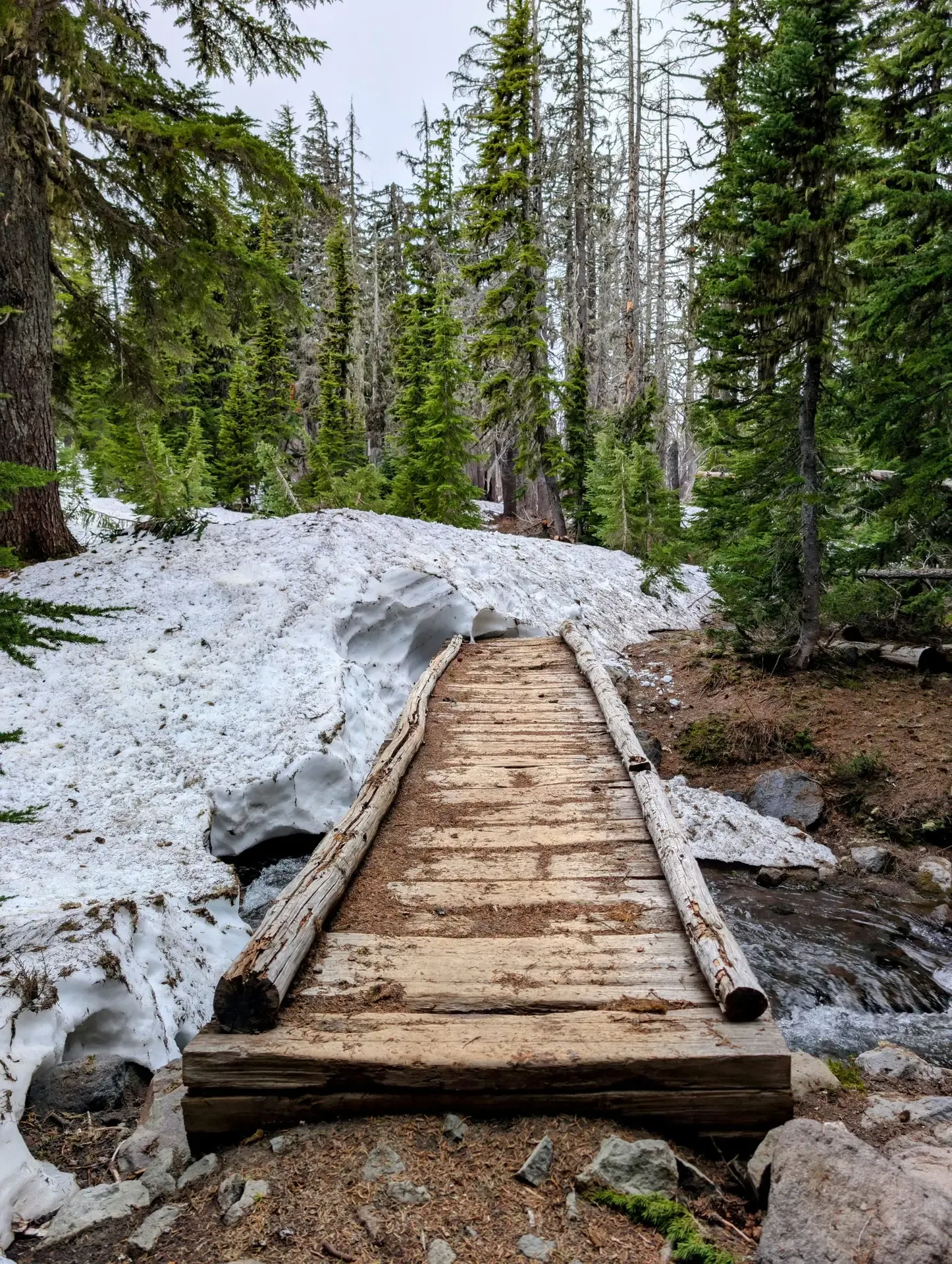 Partially snow-covered bridge in the Mount Jefferson wilderness