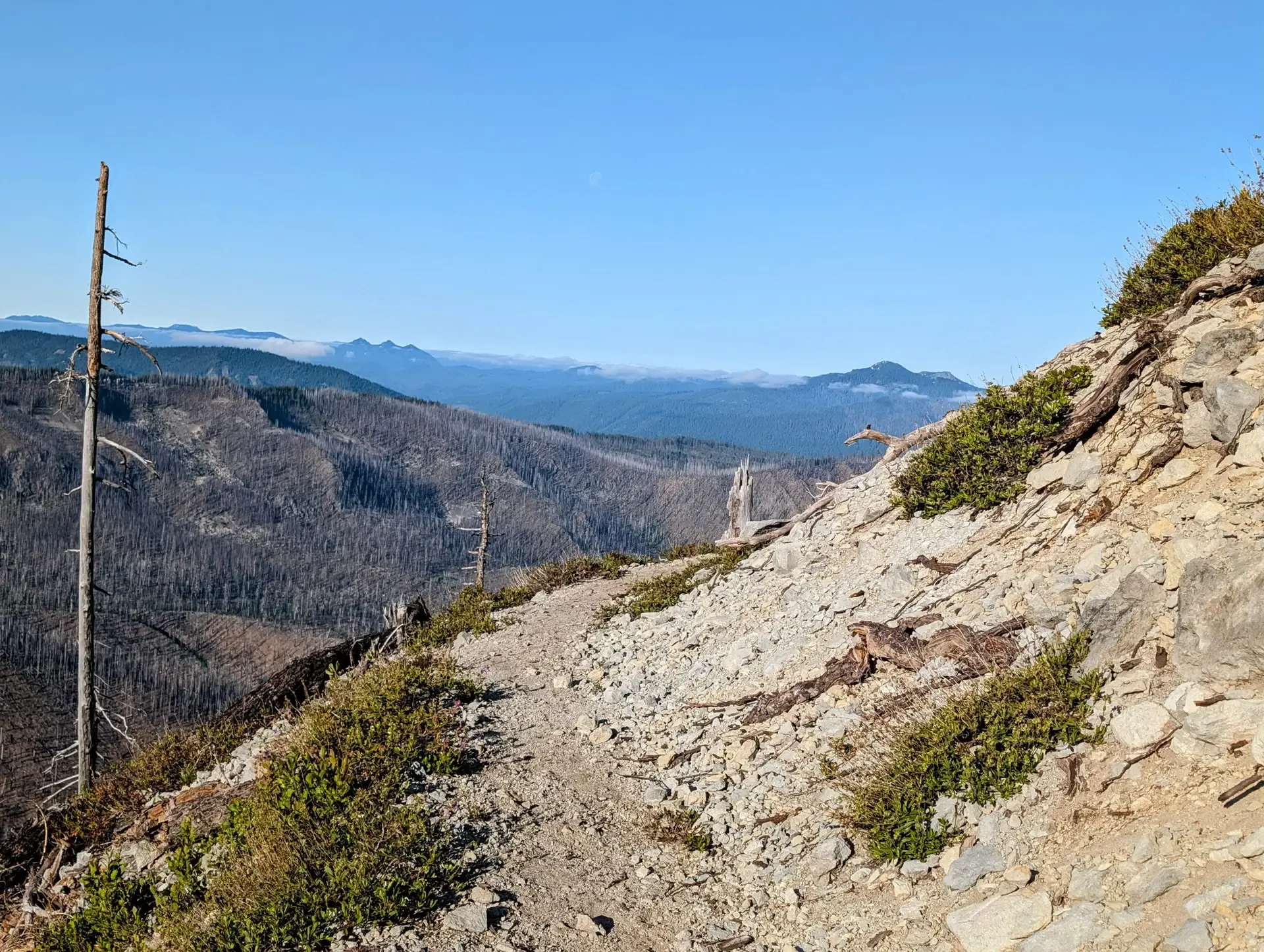 Trail rising up into the heights of the Mount Jefferson wilderness