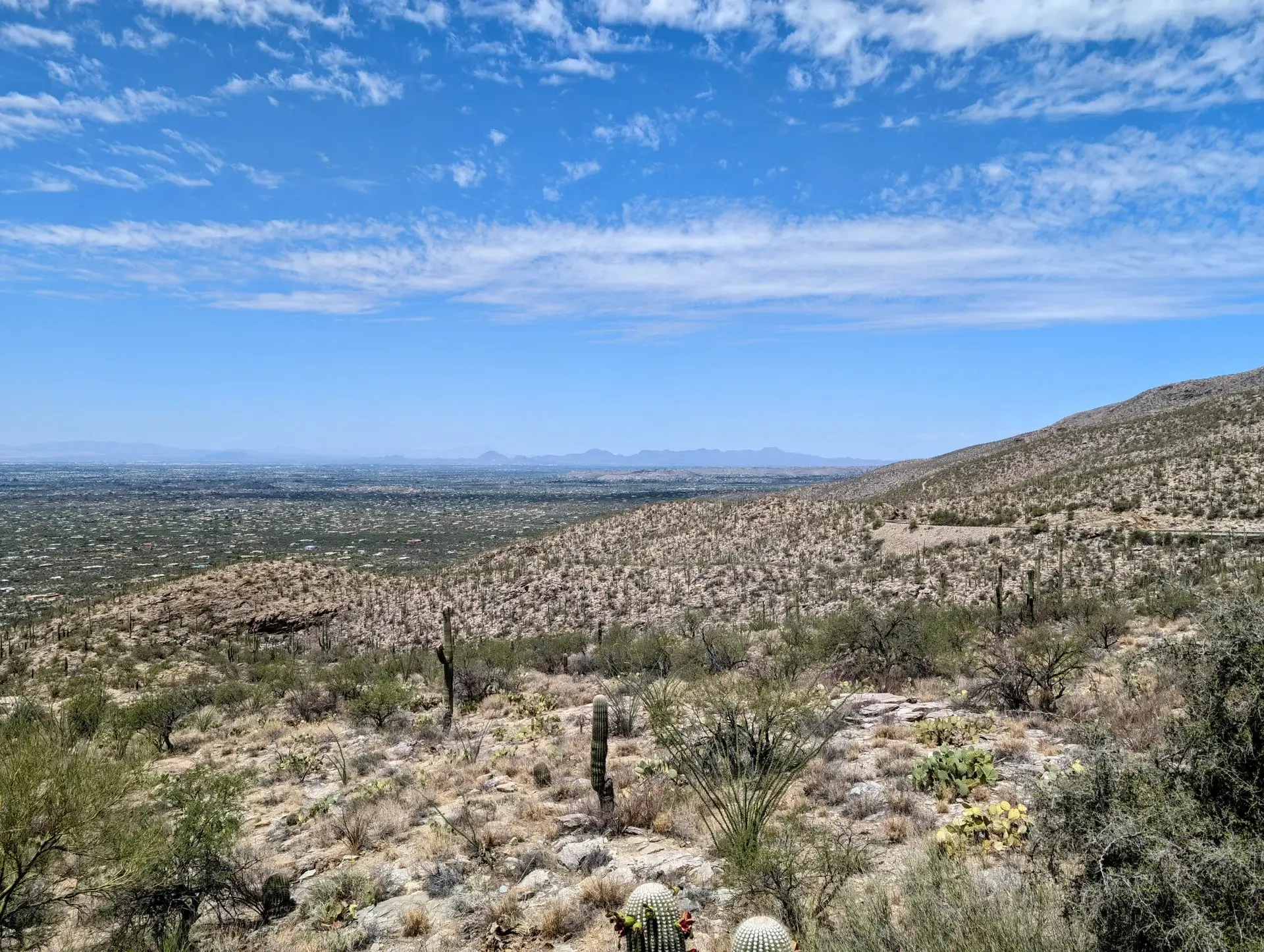The desert below, at the base of Mount Lemmon