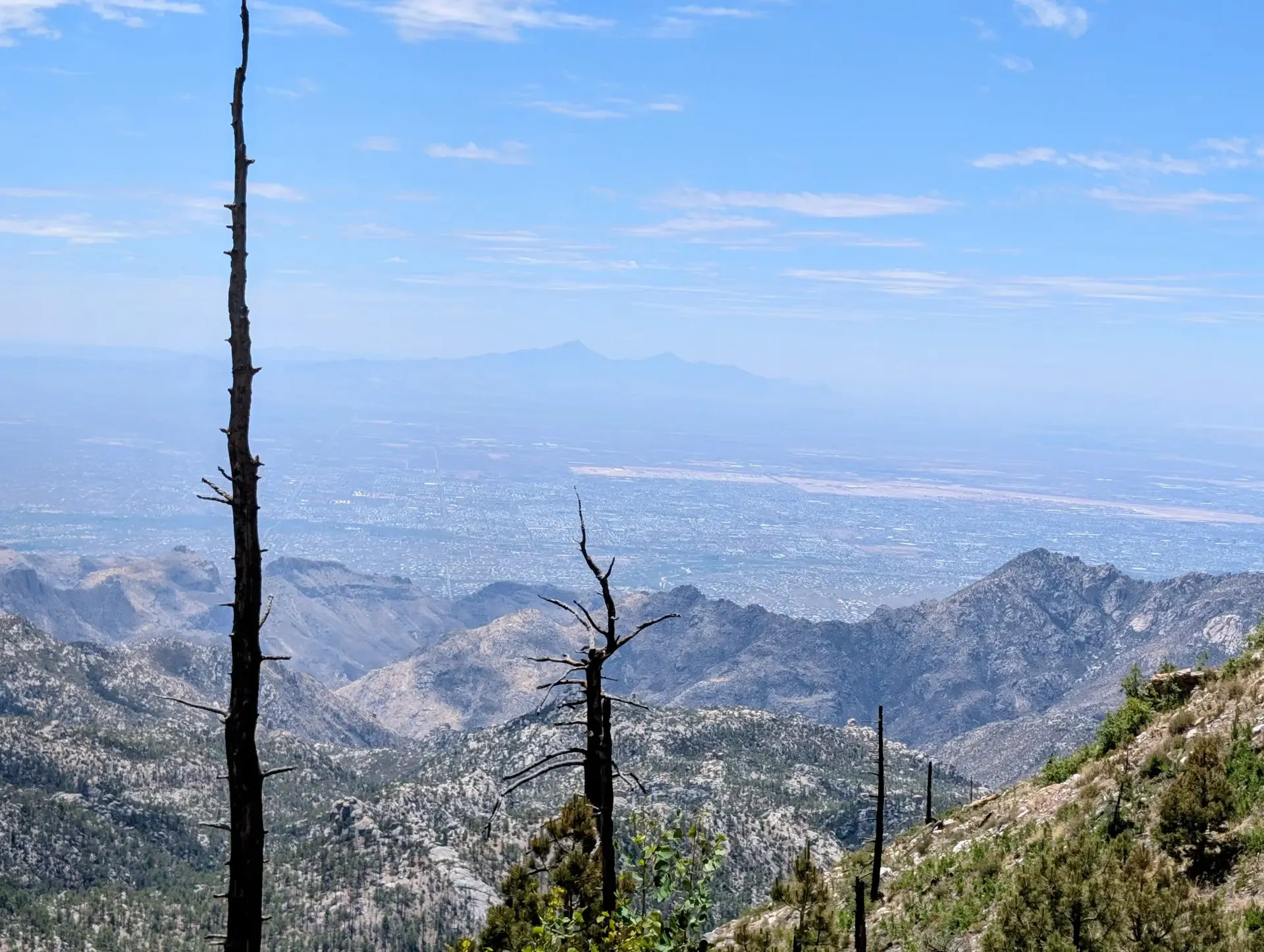 A view of the desert below from the top of Mount Lemmon