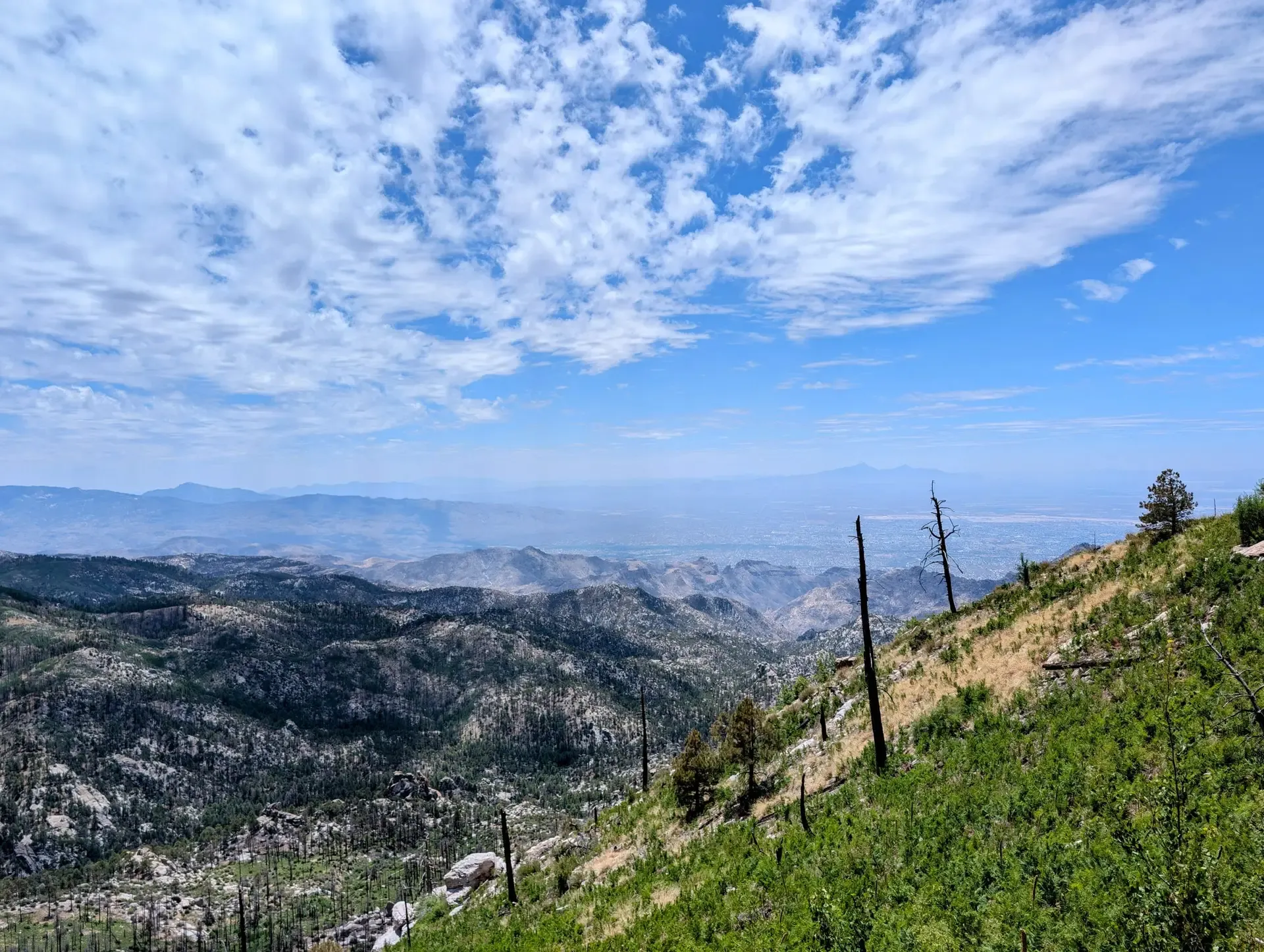 View of the open sky and landscape of the Arizona desert from the top of Mount Lemmon