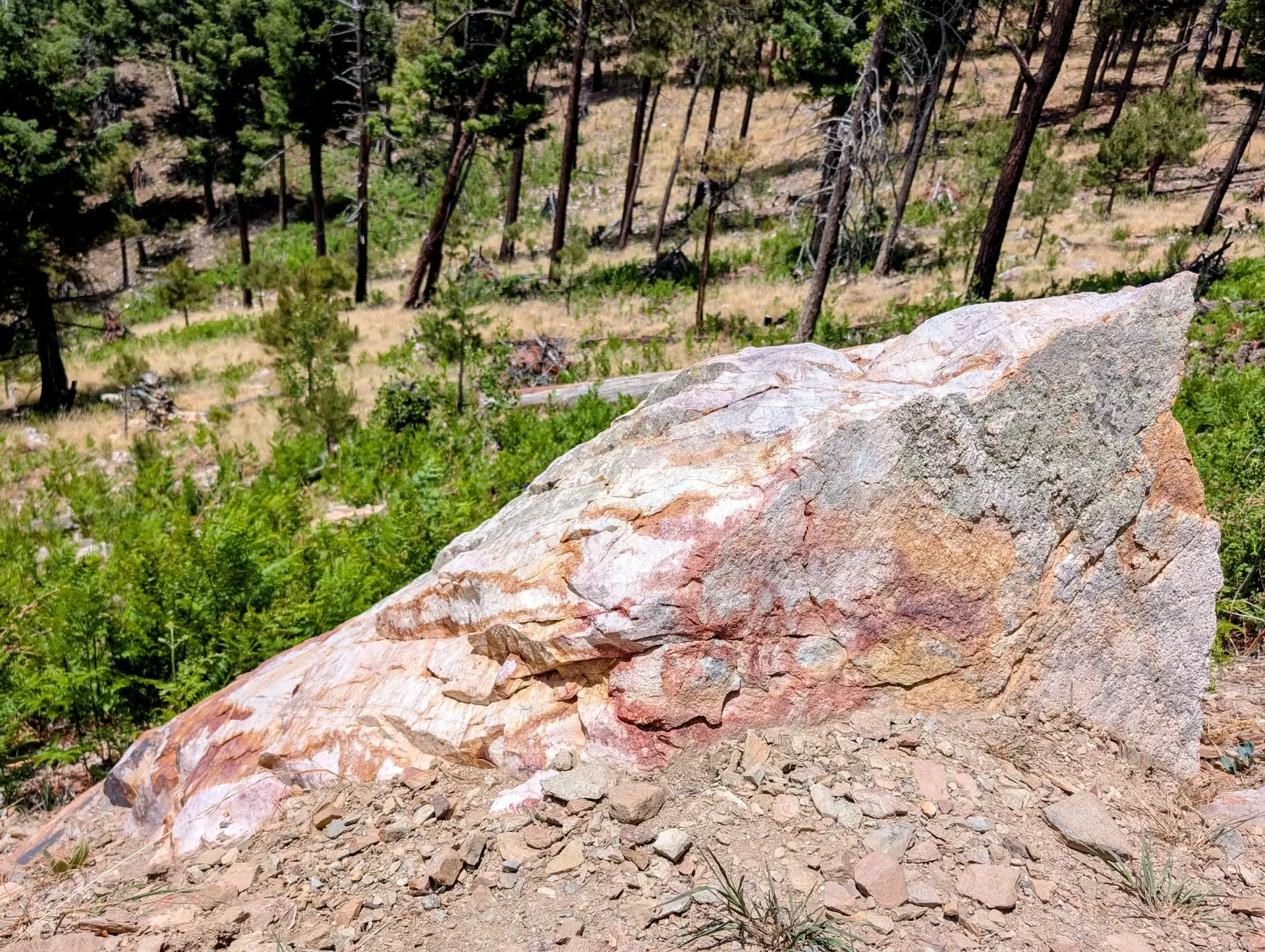Giant rock sticking out of the ground at the top of Mount Lemmon