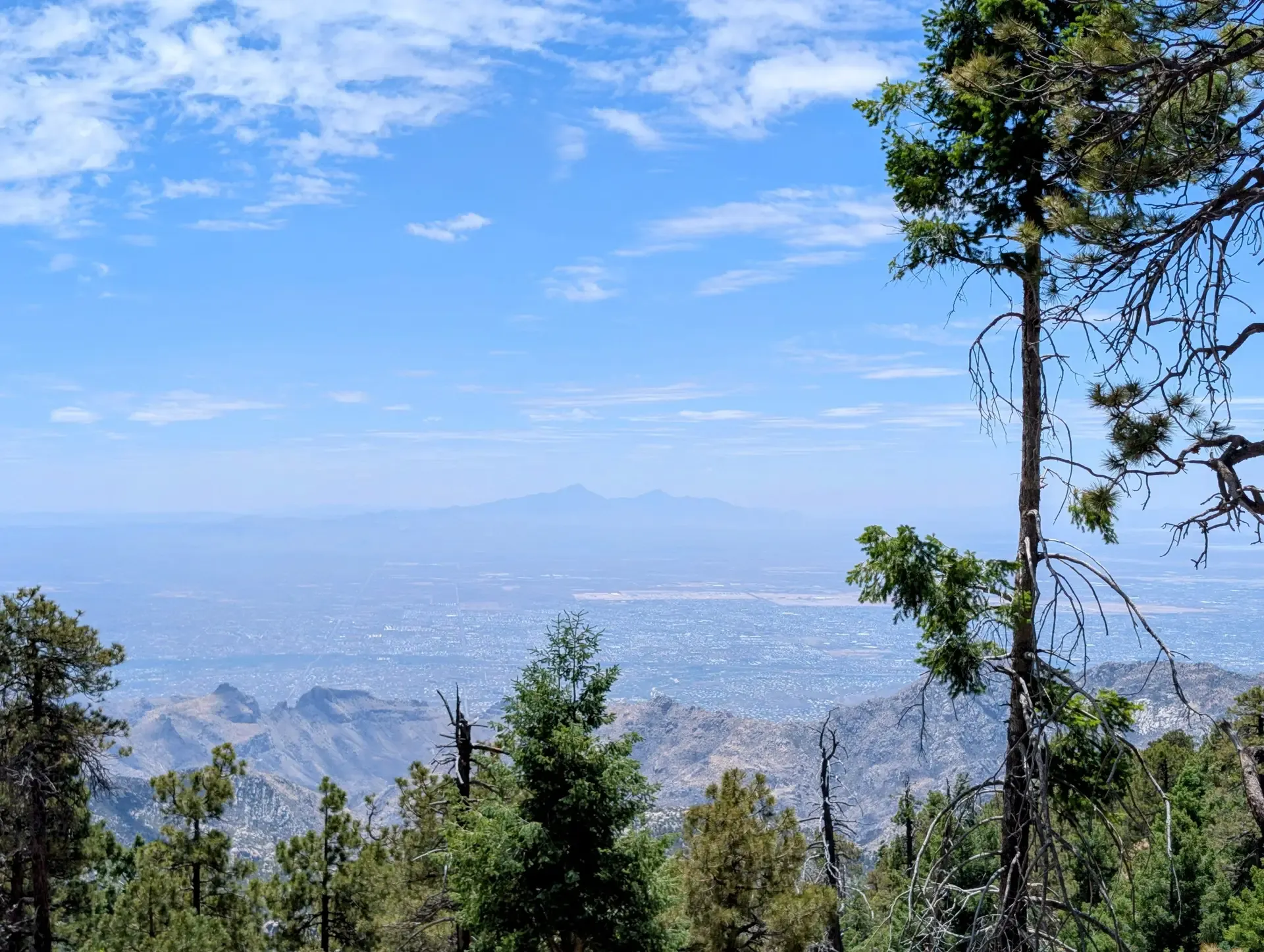 A view of the desert as the road ascends Mount Lemmon
