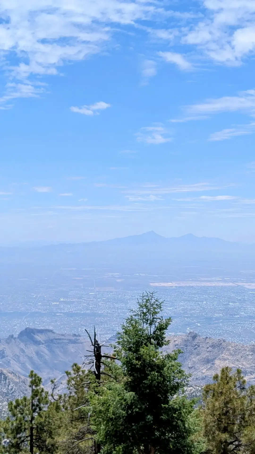 A view of far-off mountains in the desert from the top of Mount Lemmon